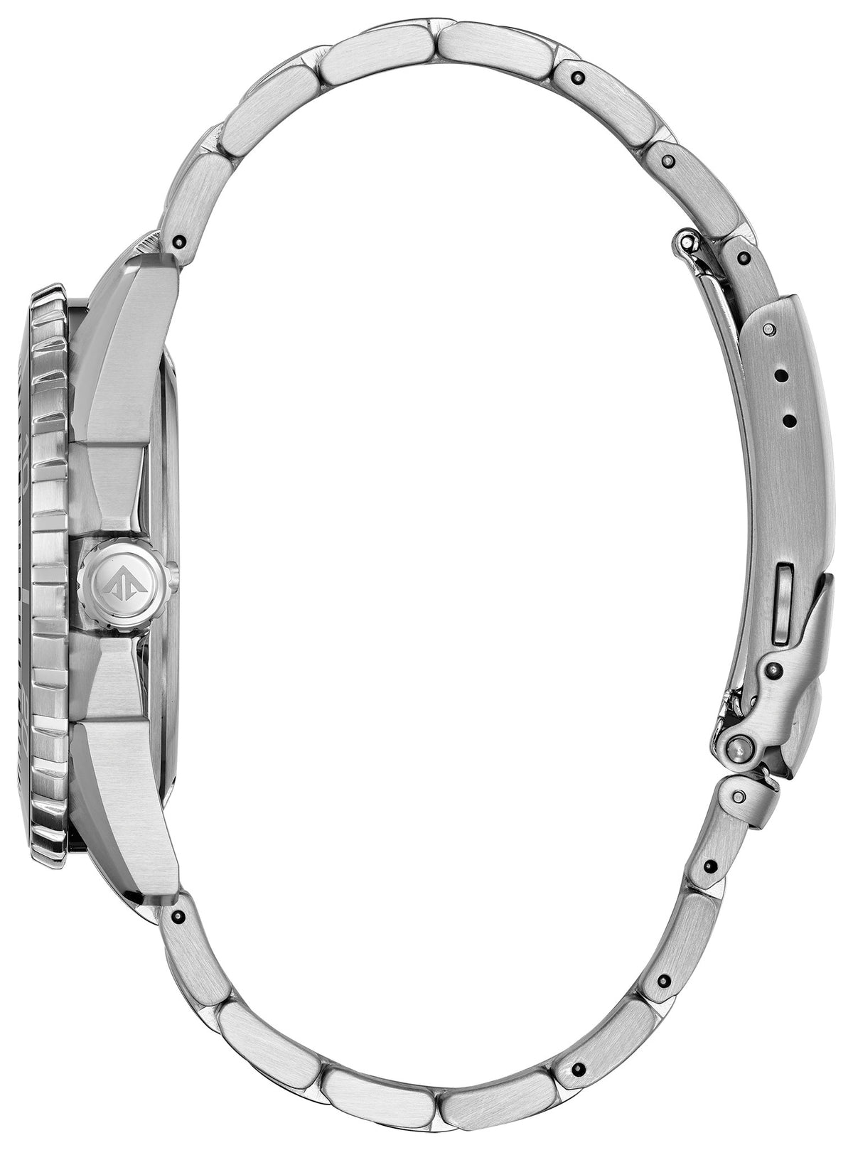 Citizen Promaster Dive 45mm BN0191-55L