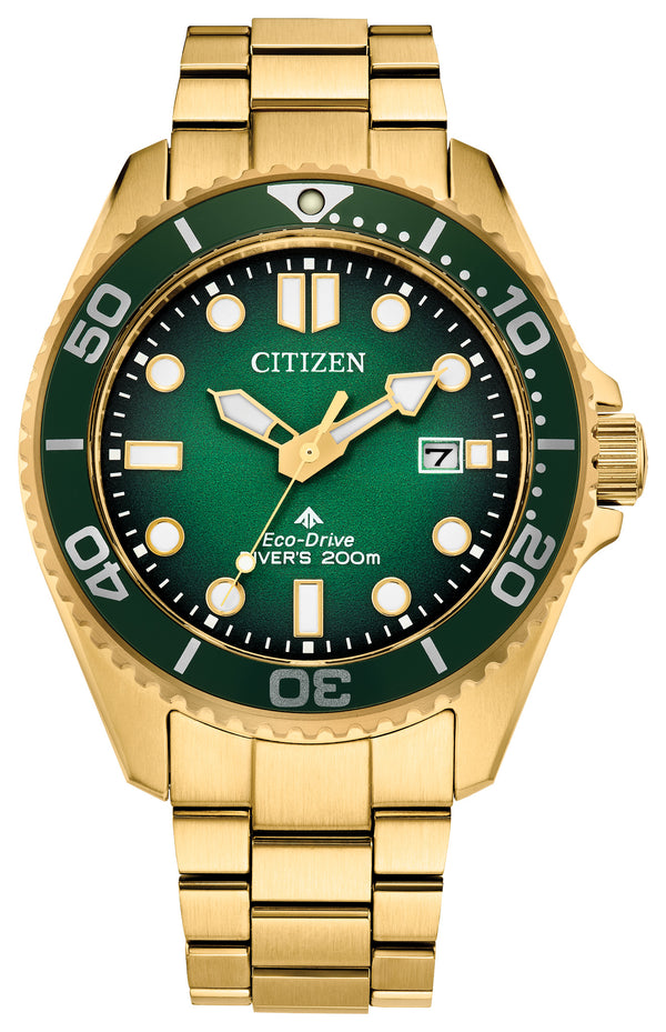 Citizen Promaster Dive BN0262-59W