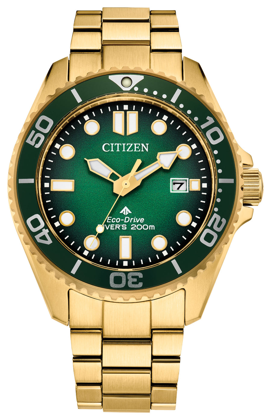 Citizen Promaster Dive BN0262-59W